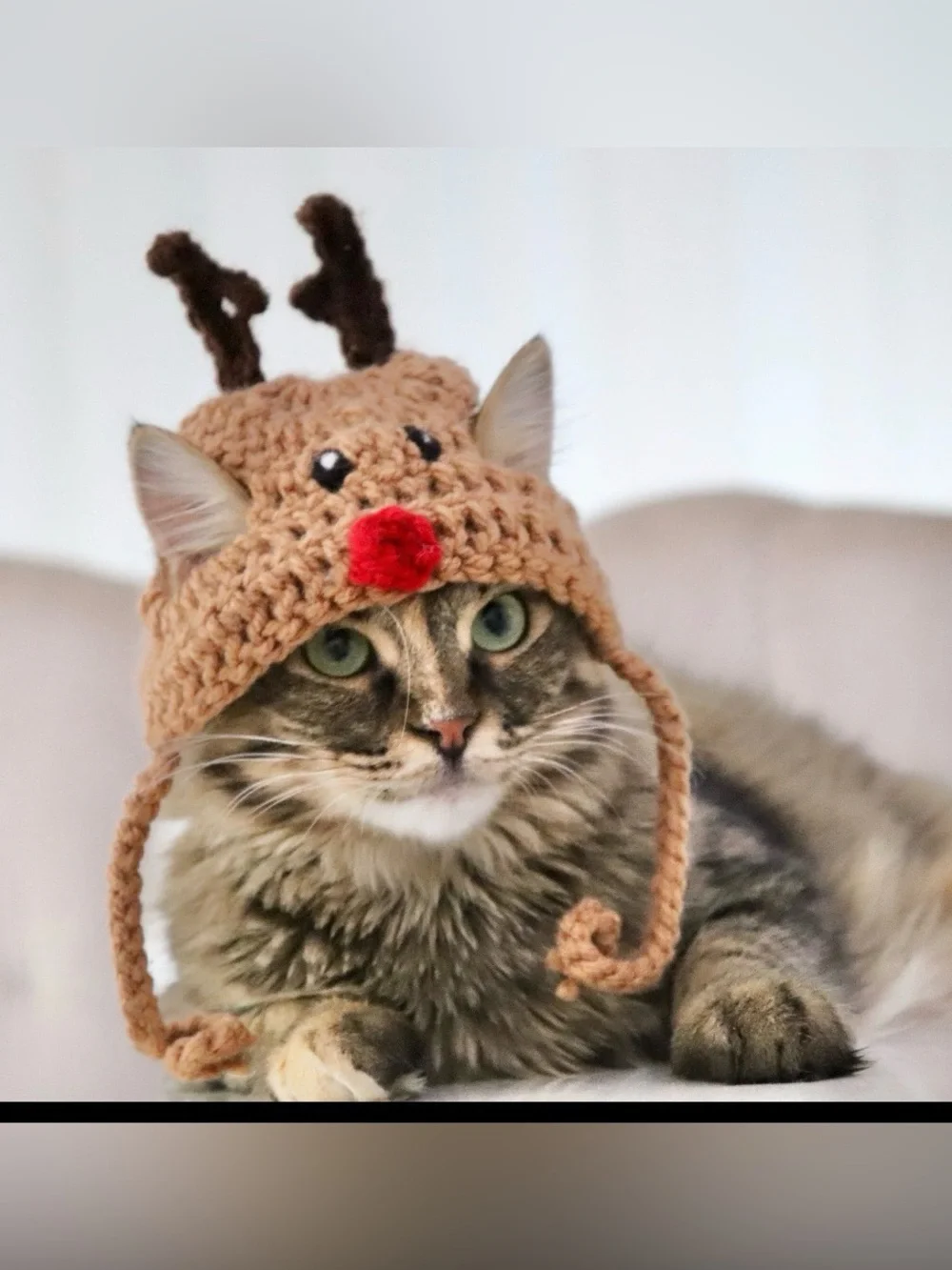 Rudolph knit hat for cats or small dogs